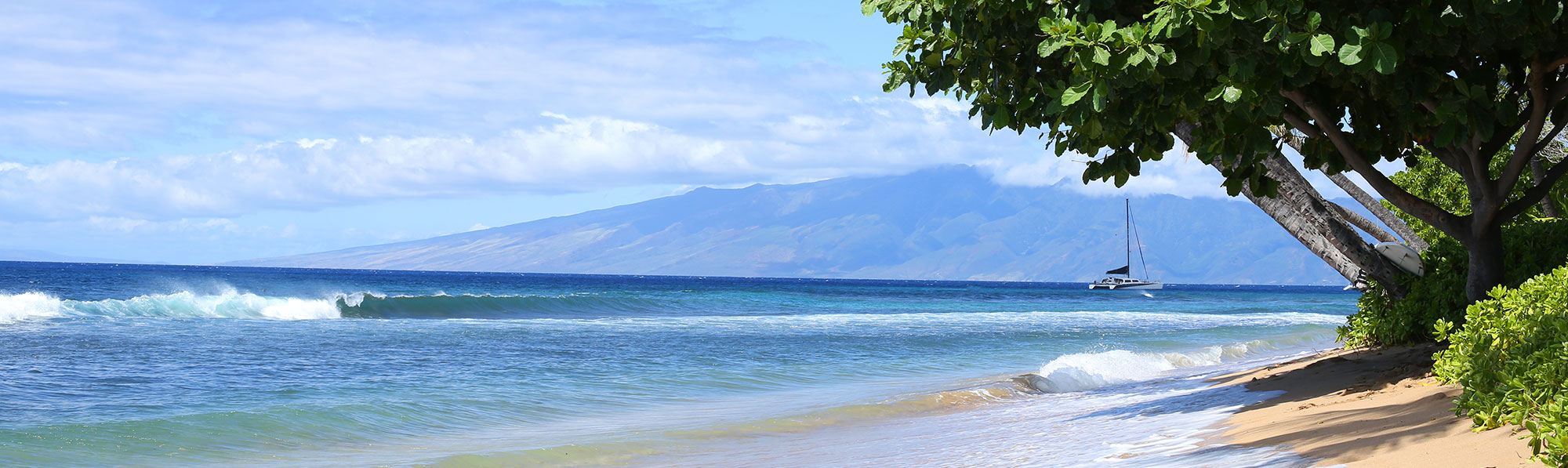 Hawaiian Beach-Side